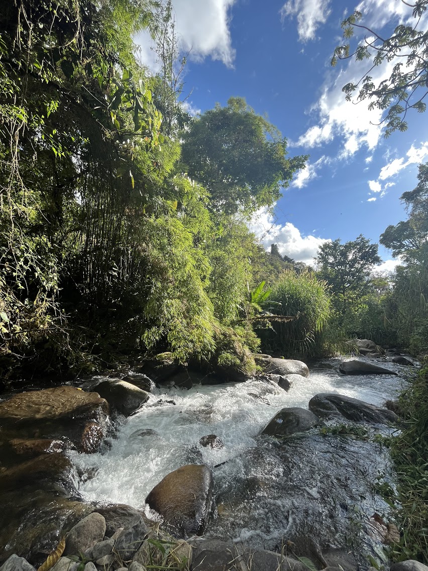 Chirripo River Costa Rica