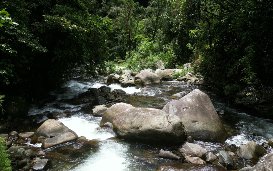 $1,200,000 USD – Riverfront Property in San Gerardo de Rivas with 3 Houses #105