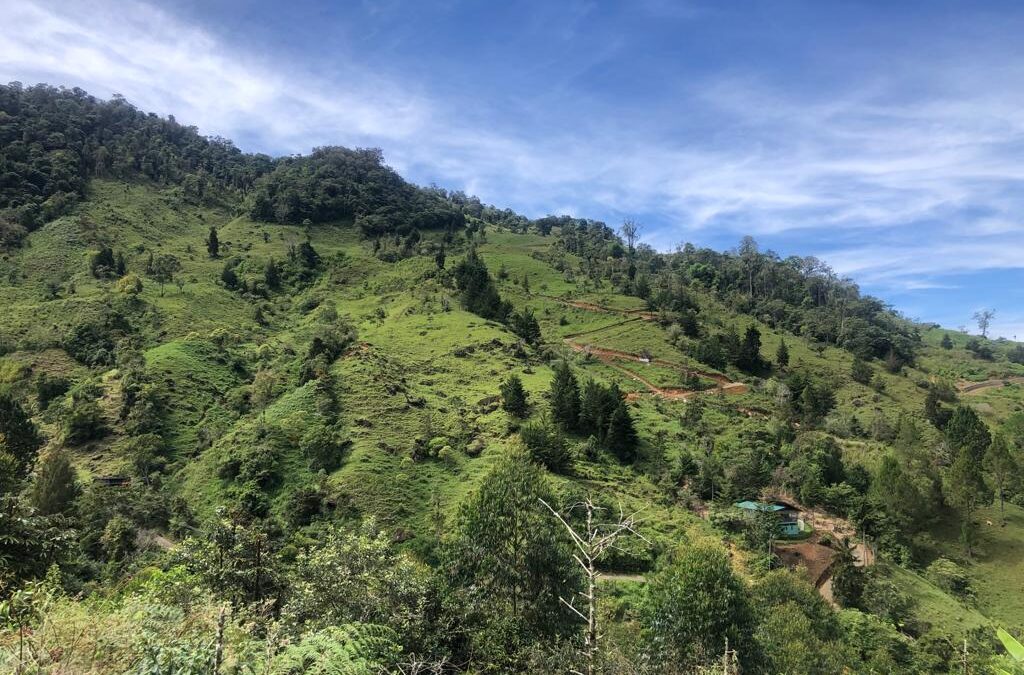 15 Hectares with Mountain Views in Los Angeles de Rivas – $200,000 USD per hectare #107