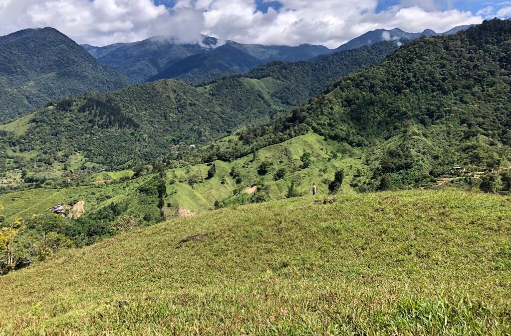 Land with Spectacular Mountain views in Los Angeles – $200,000 USD per hectare #104