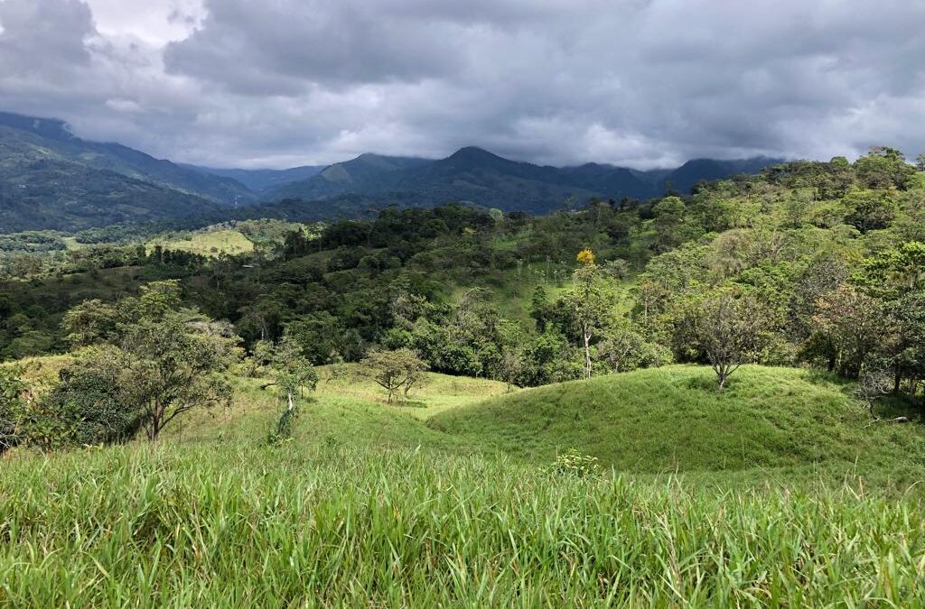 $250,000 USD – 3.8 Hectares for sale in Santa Cruz #108