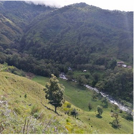$1,500,000 USD – 222 Acre Farm in Herradura Bordering on Rio Blanco River #119
