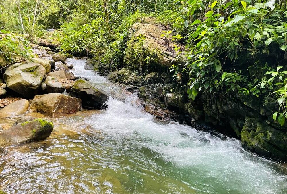 $295,000 USD – 1.5 Hectares on the River in San Jose de Rivas #117