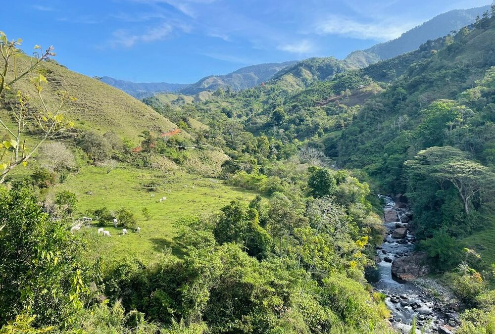 $1,000,000 – 115 ACRES in PUEBLO NUEVO. IDEAL for BUILDING A COMMUNITY or REGENERATIVE BUSINESS #124