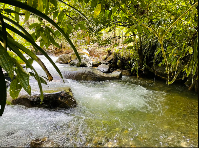 $100,000 USD – 3800 m2 LOT OVERLOOKING THE CHIMIROL RIVER #116