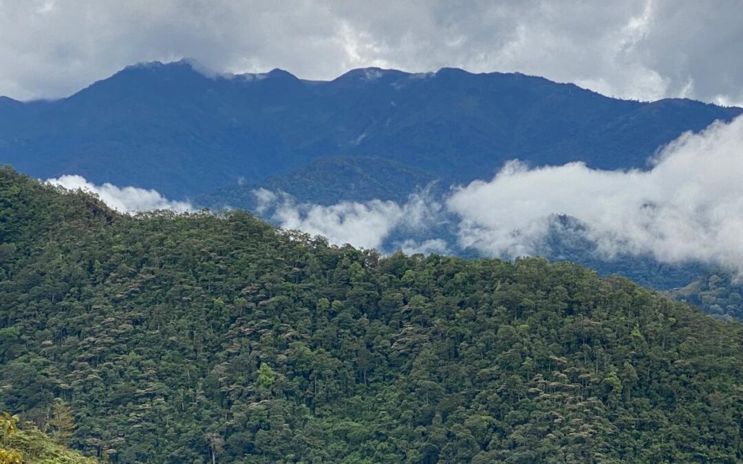 $350,000 USD – RIVERFRONT 2.5 HECTARES IN SAN JOSE DE RIVAS WITH VIEWS OF CHIRRIPO and URAN # 133